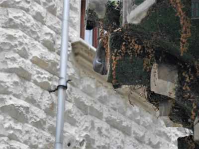 Un dettaglio del "getto d'acqua" in marmo della fontana, sullo sfondo si intravede una delle bisce decorative